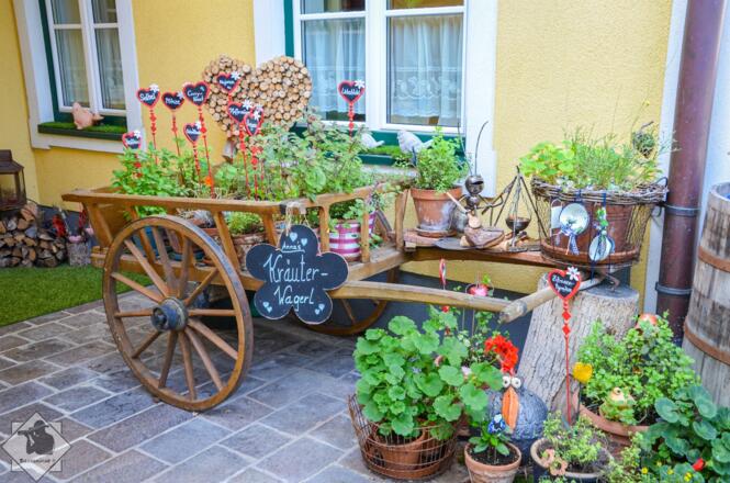 August 2021 Wagnerm u See u Bergerl (95)