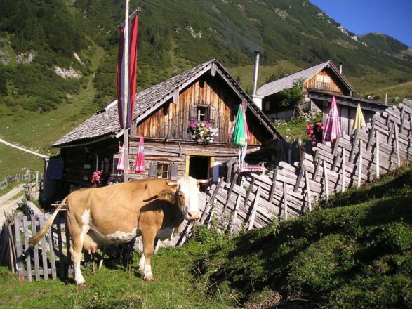 Almenrundweg Wanderung Russbach