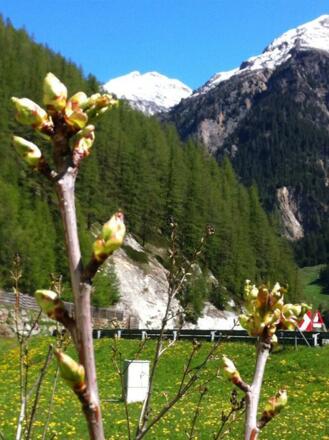 Aussicht hinter dem Haus