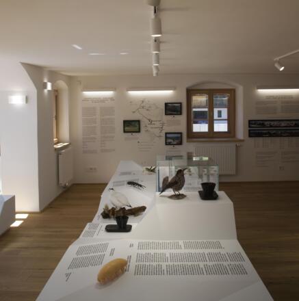 Ausstellung im Widum Vent