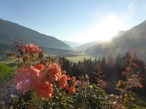 Gartenausblick mit herrlichem Panorama