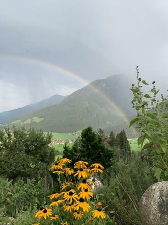 Gartenausblick mit Regenbogen