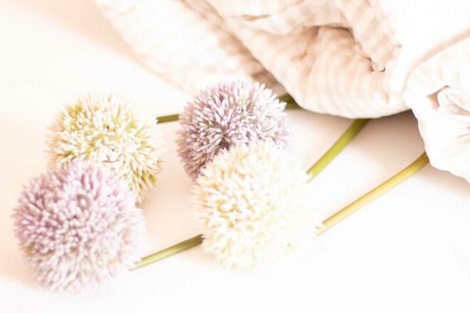 Herzliche Willkommen