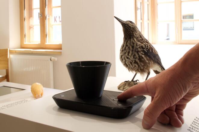 Vent Widum Ausstellung