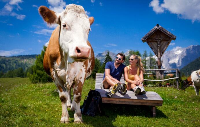 Wandern auf der Alm