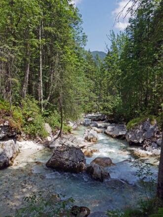 Durch den Zauberwald