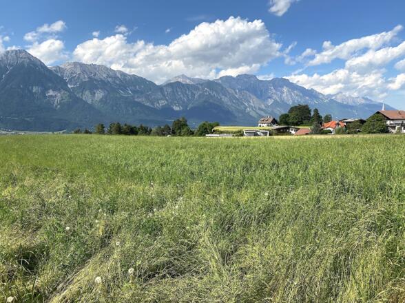 Nach der Abfahrt von der Vogelhütte erreicht man nochmals Aldrans, bevor es über den Lanserwald ...