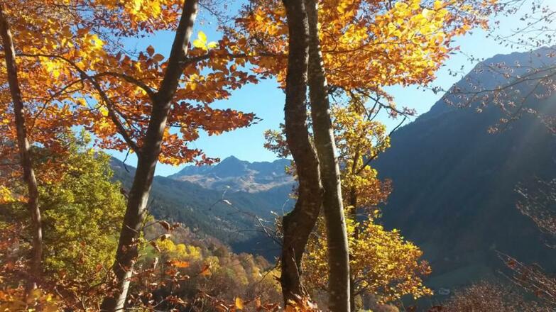Herbst im Silbertal