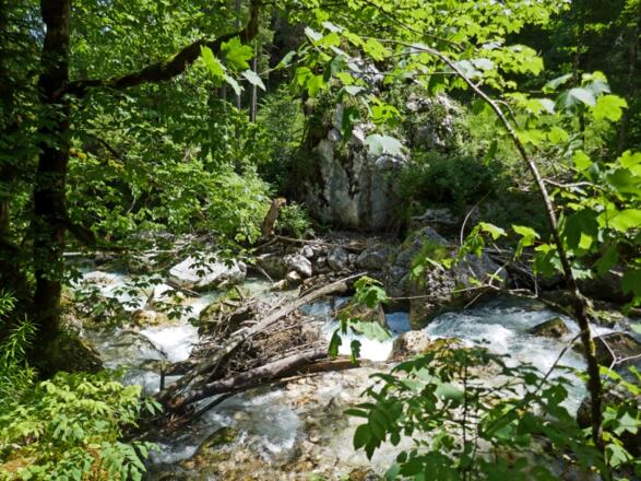 An der Ramsauer Ache durch den Zauberwald