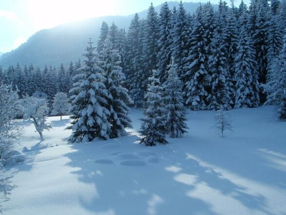 Winterlandschaft rund um Wimmergreuth