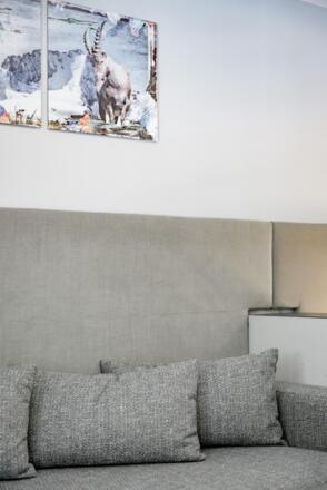 Siebenschläfer Bild