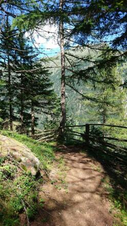 Wanderweg Hochwald