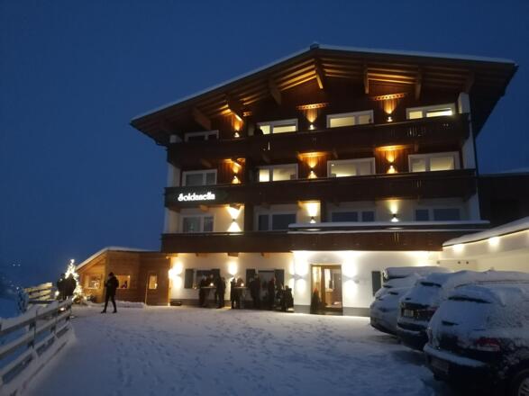 Soldanella bei Nacht