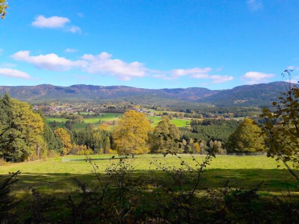 Panorama Nähe Drachselsried