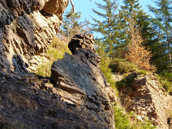 Unterhalb der Felswand führt die Forststraße vorbei