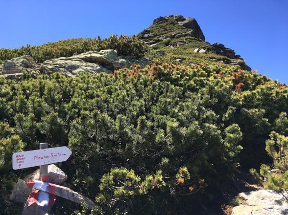 Eine selbsterrichtete Wegtafel markiert die letzten 100 Höhenmeter bis zum breiten Gipfelplateau.
