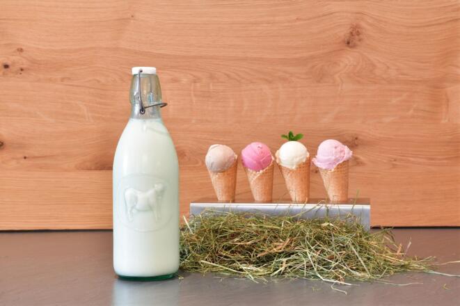 Hotel Tradizio Mittelberg Eis