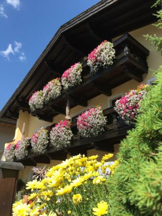 Blumenmeer