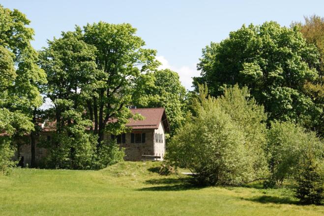 Ödwies