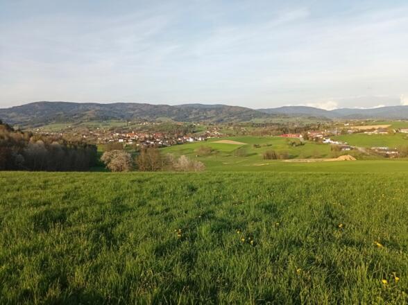 Blick vor Einfürst nach Schwarzach, dahinter Schopf und Hirschenstein