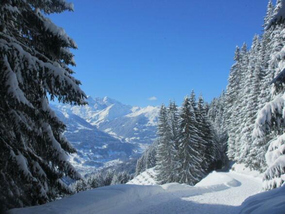 Winter im Silbertal