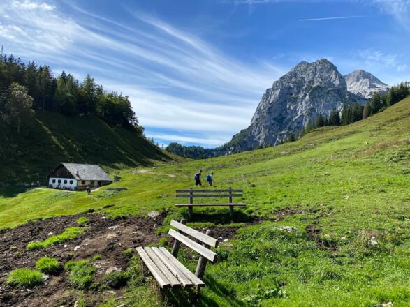 Ruhebänke und Blick zurück auf Halsalm