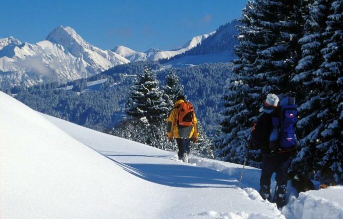 Winterwandern vor traumhafter Kulisse