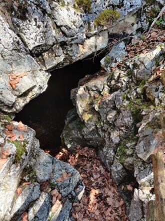 Die Bärenhöhle hält eine Überraschung bereit.