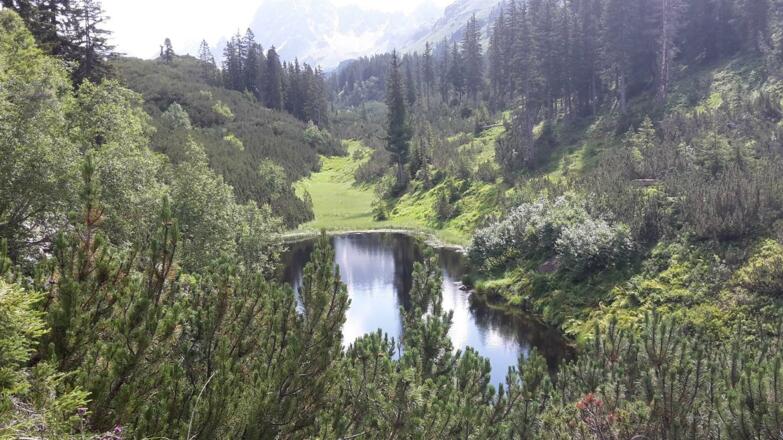 Schwarzsee Silbertal