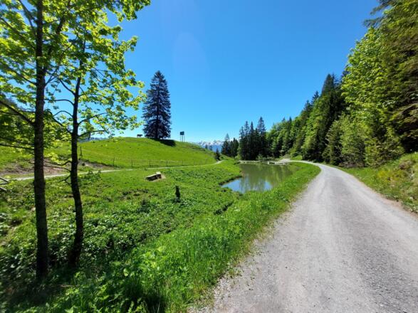 Alpine_Art_Kunstweg_am_Muttersberg_(c)_Dajana_Baum