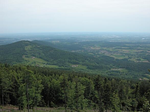 Aussicht vom Regensburger Stein