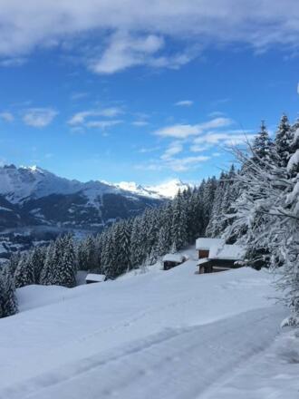 Maisäß Winterbild West