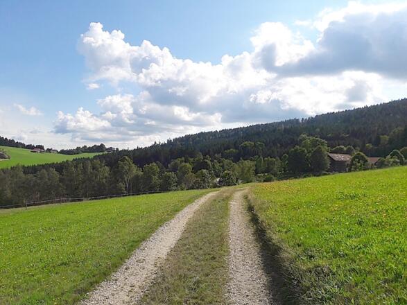 Weg von Frath nach Lindenau