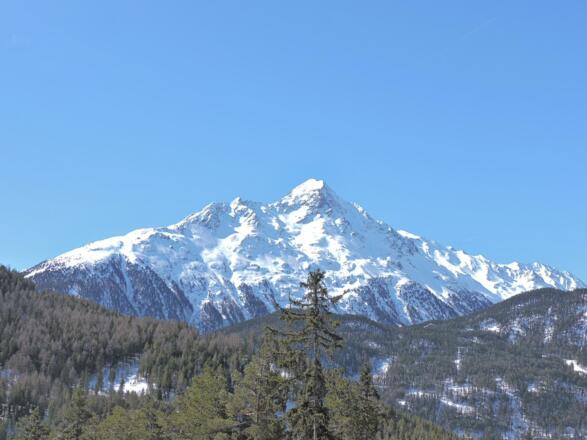 Umgebung- Nederkogl