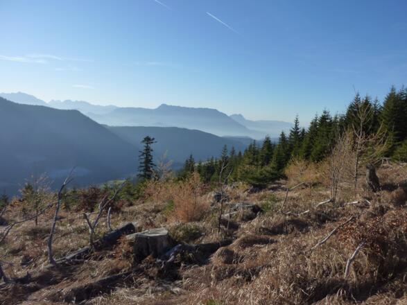 Am Kamm zum Grobriedel unterwegs