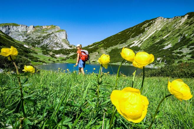 Wanderer am Zireinsersee - Butterblumen