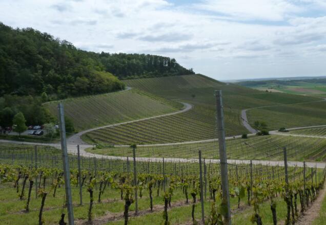 Weinparadies