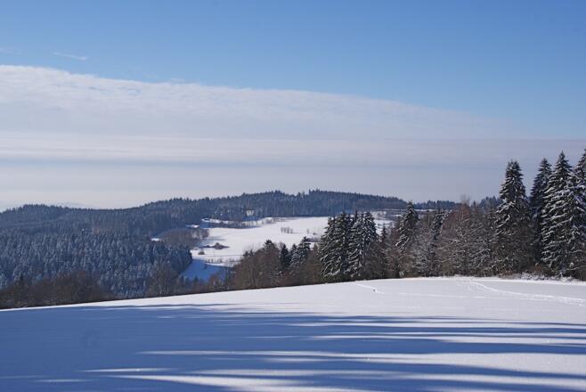 Bugl-Wiesen-Aussicht
