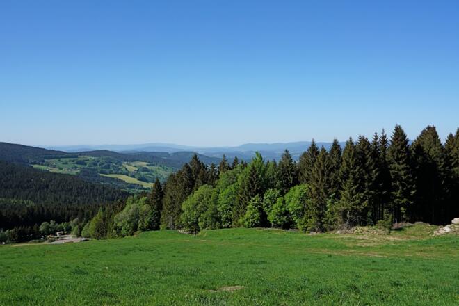 Aussicht beim queren der Predigtstuhl-Lifthänge
