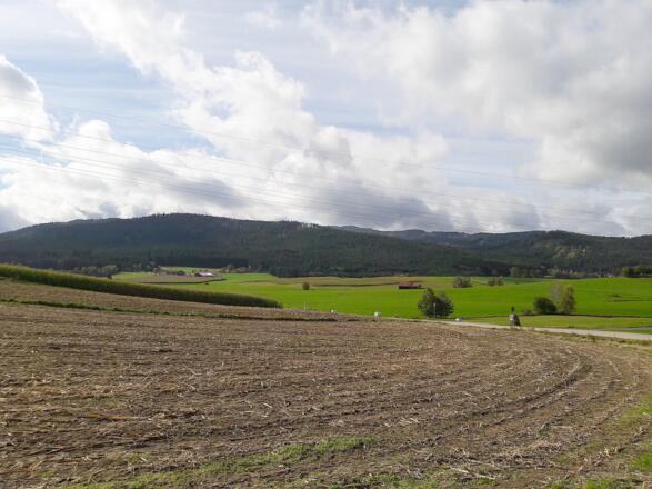 Einödriegel-Kamm vom Weg nach Regen
