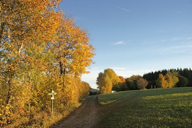 Weg am sog. "Bohannes"