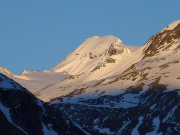 Ankogel im Morgenlicht