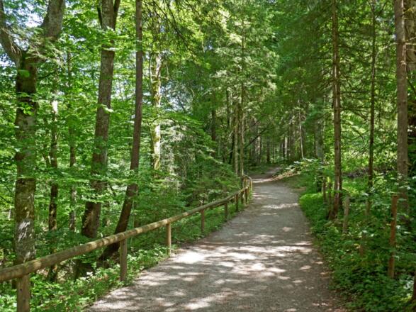 Auf dem Weg nach Ramsau