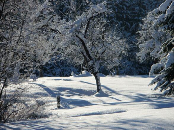 Winter 1