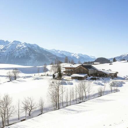 Bio-Bauernhof Stanglehen Winter