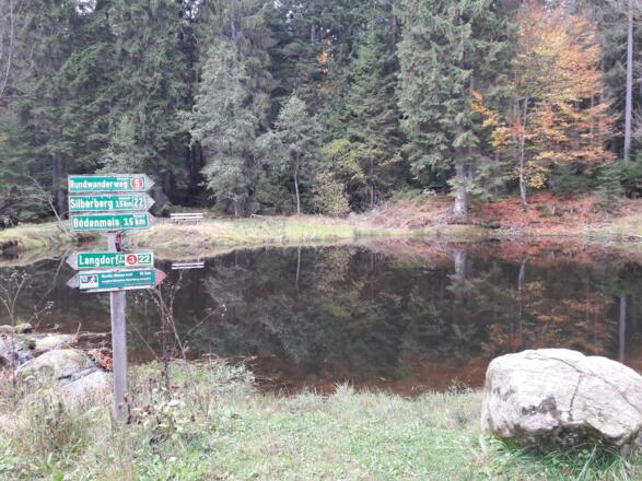 Weiher am Weg nach Bodenmais
