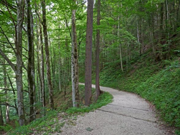Auf dem Ramsauer Mühlsteinweg