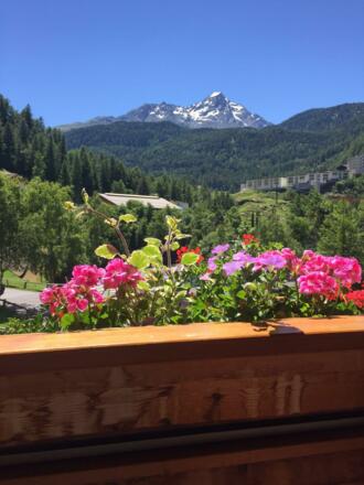 Ausblick Nederkogl