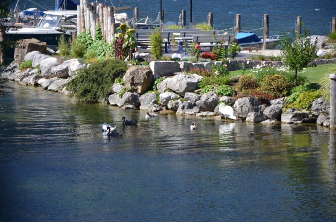 Am Traunsee gelegen