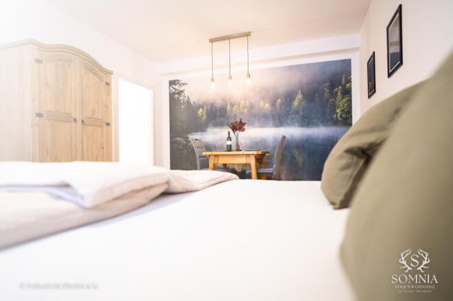 00_Ferienwohnung Somnia Altstadt Gmunden